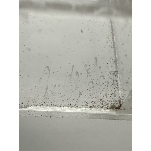 Vtg Great Blue Hookwing. Napeocles jucunda, Mounted butterfly Plexiglass Signed - Picture 5 of 16